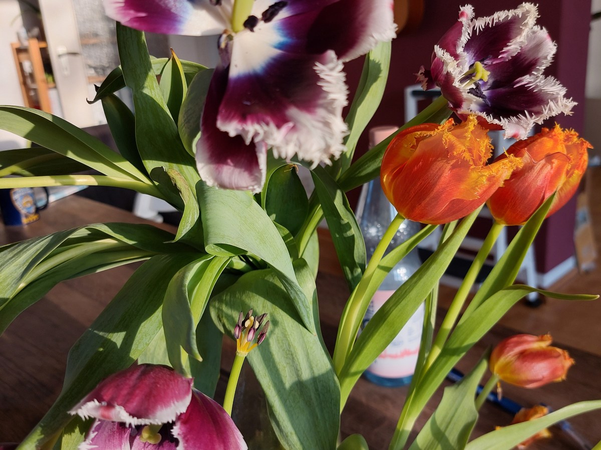 Feministischer Kampftag